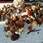 Fachwerkhaus Paula Mit Blick Auf Wasser By Interhome Prázdninový dům