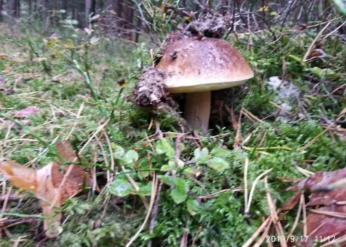 Fachwerkhaus Paula Mit Blick Auf Wasser By Interhome *