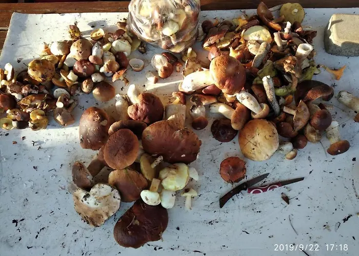 Fachwerkhaus Paula Mit Blick Auf Wasser By Interhome Дом отдыха